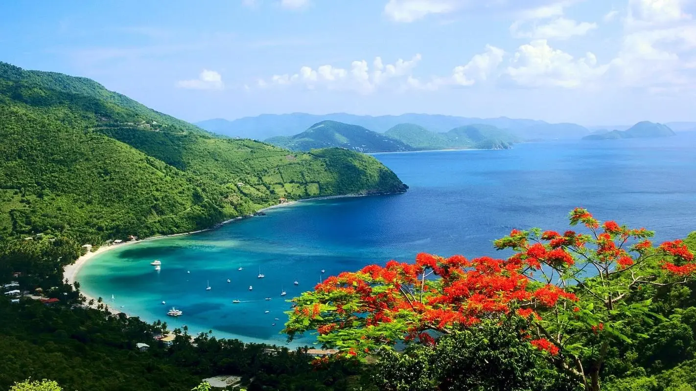 高质量高效智能系统